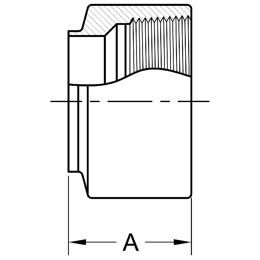 22WB - Butt-Weld X Female NPT Adapter - Machine Finish