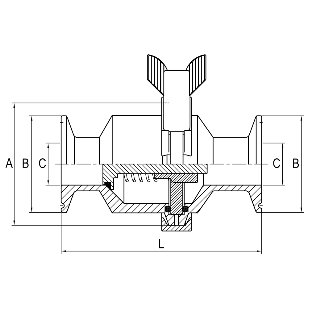 Spring Check Valve